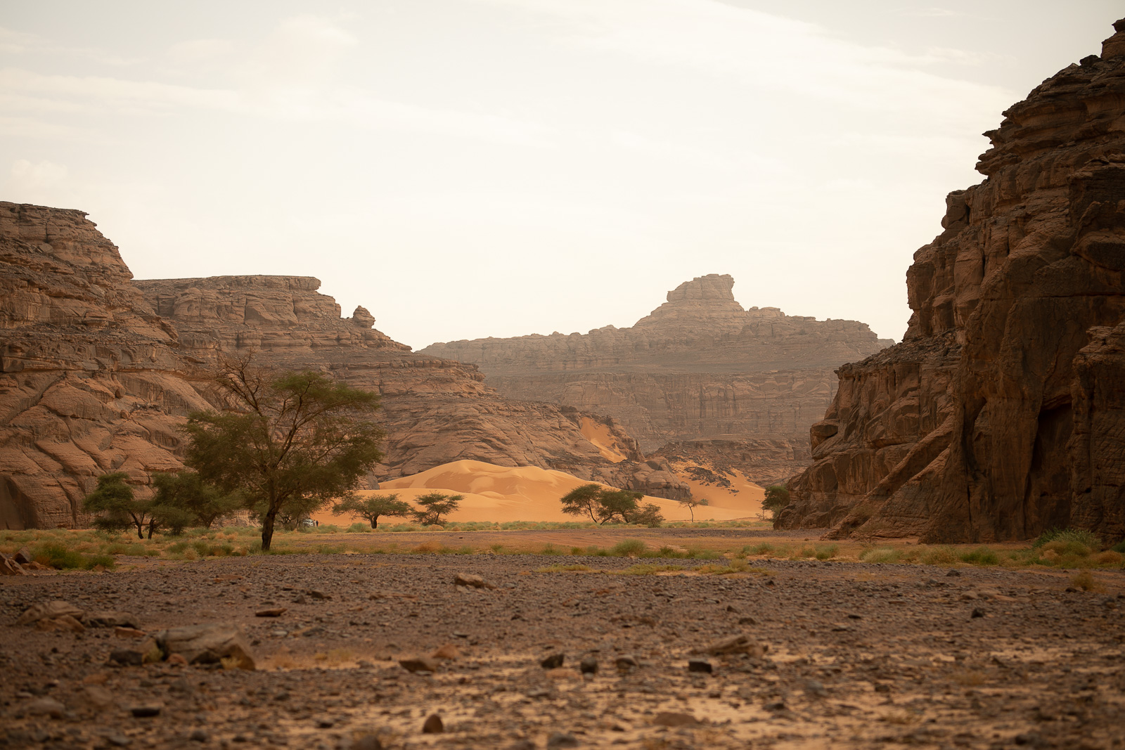 Human & Nature  outoftime 52